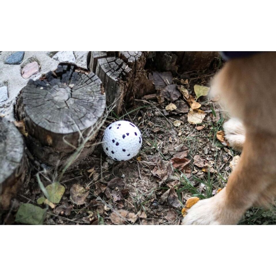 M-PETS BLOOM BALL OYUN TOPU PARÇALANMAZ WHİTE/BLACK