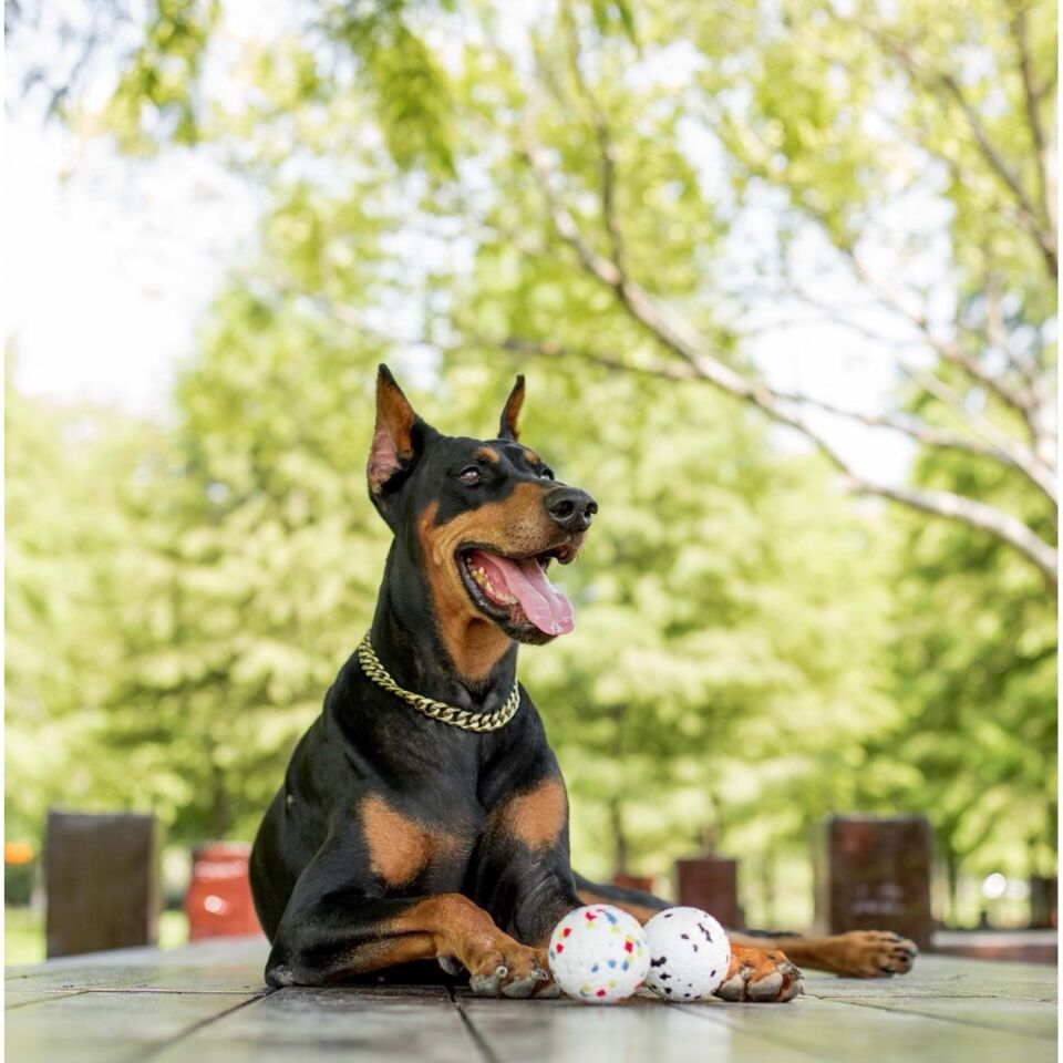 M-PETS BLOOM BALL OYUN TOPU PARÇALANMAZ WHİTE/BLACK