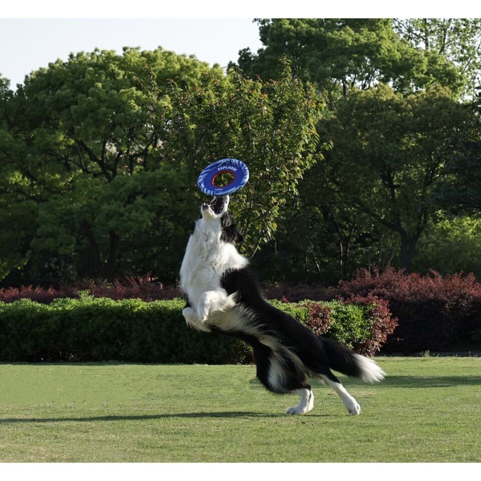 M-PETS SPRINTPUFF FRISBEE KÖPEK OYUNCAĞI MAVİ