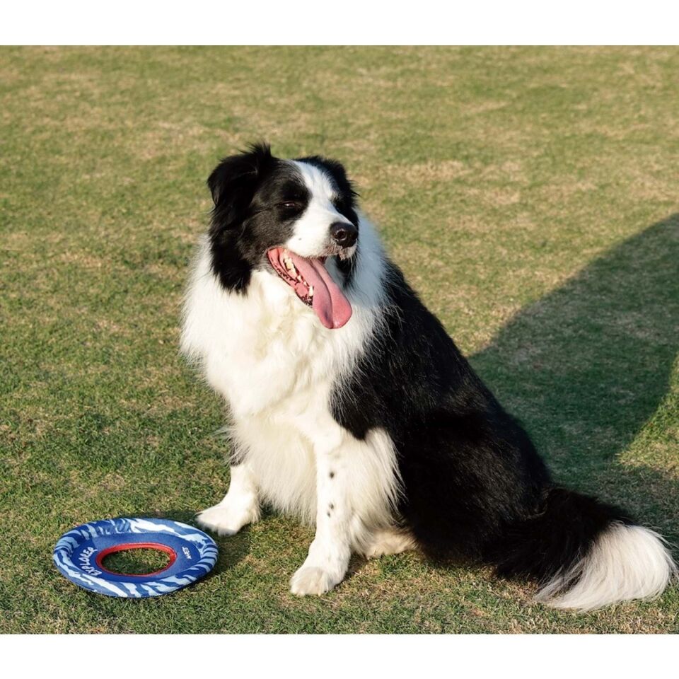 M-PETS SPRINTPUFF FRISBEE KÖPEK OYUNCAĞI MAVİ