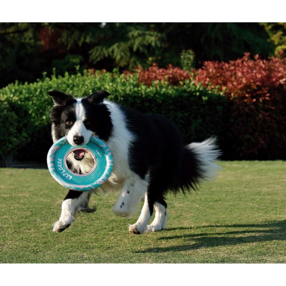 M-PETS SPRINTPUFF FRISBEE KÖPEK OYUNCAĞI PEMBE/YEŞİL