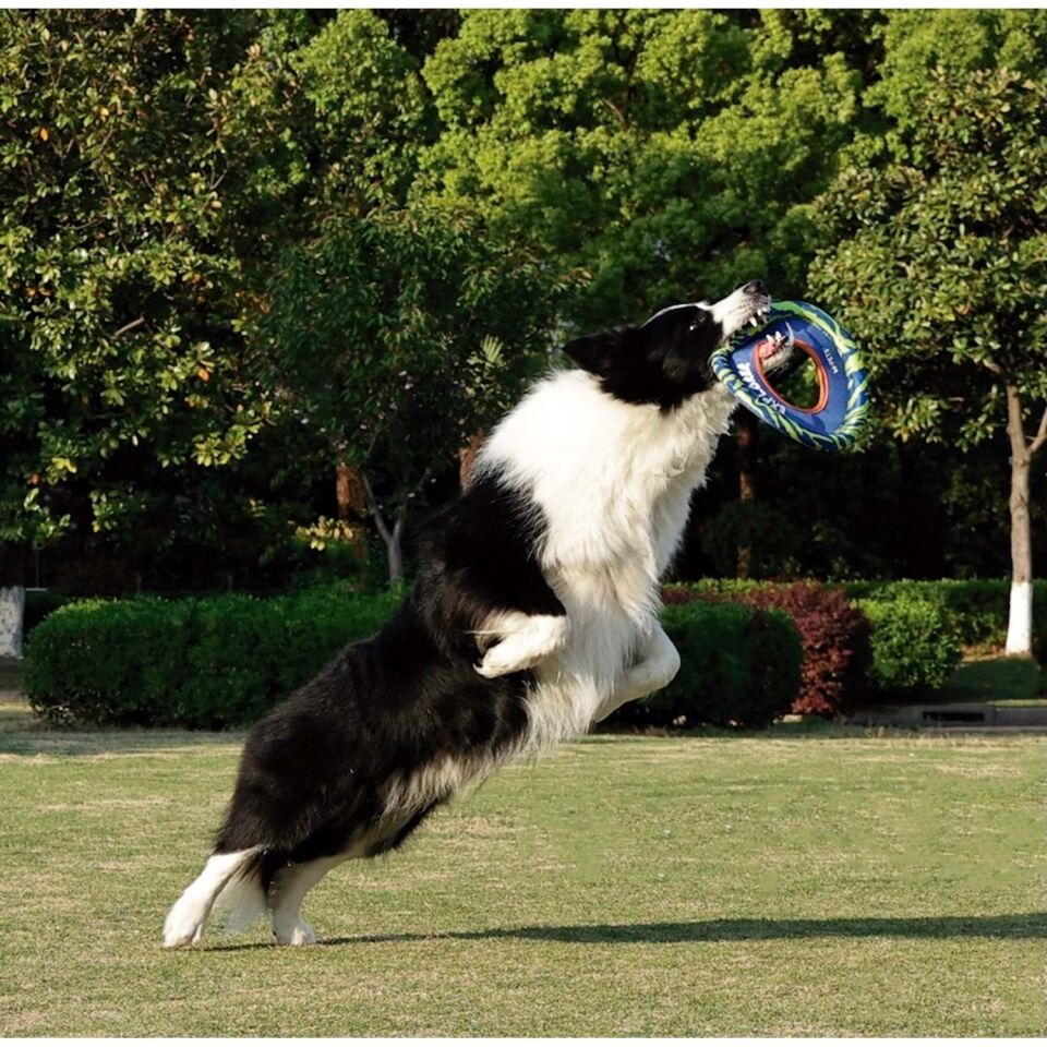 M-PETS SPRINTPUFF FRISBEE KÖPEK OYUNCAĞI MAVİ/YEŞİL
