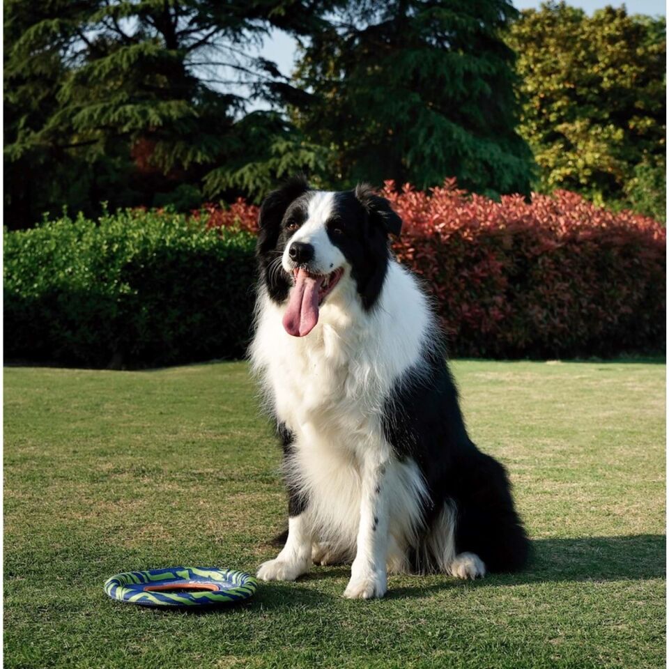 M-PETS SPRINTPUFF FRISBEE KÖPEK OYUNCAĞI MAVİ/YEŞİL