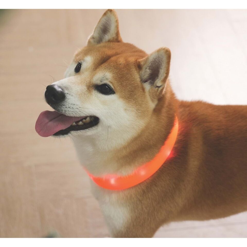 M-PETS FLASH LED BOYUN TASMA ORANGE (L)