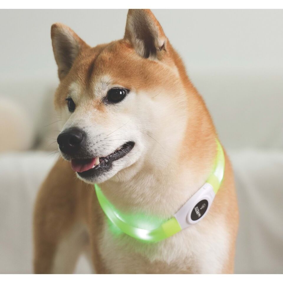M-PETS FLASH LED BOYUN TASMA GREEN (L)