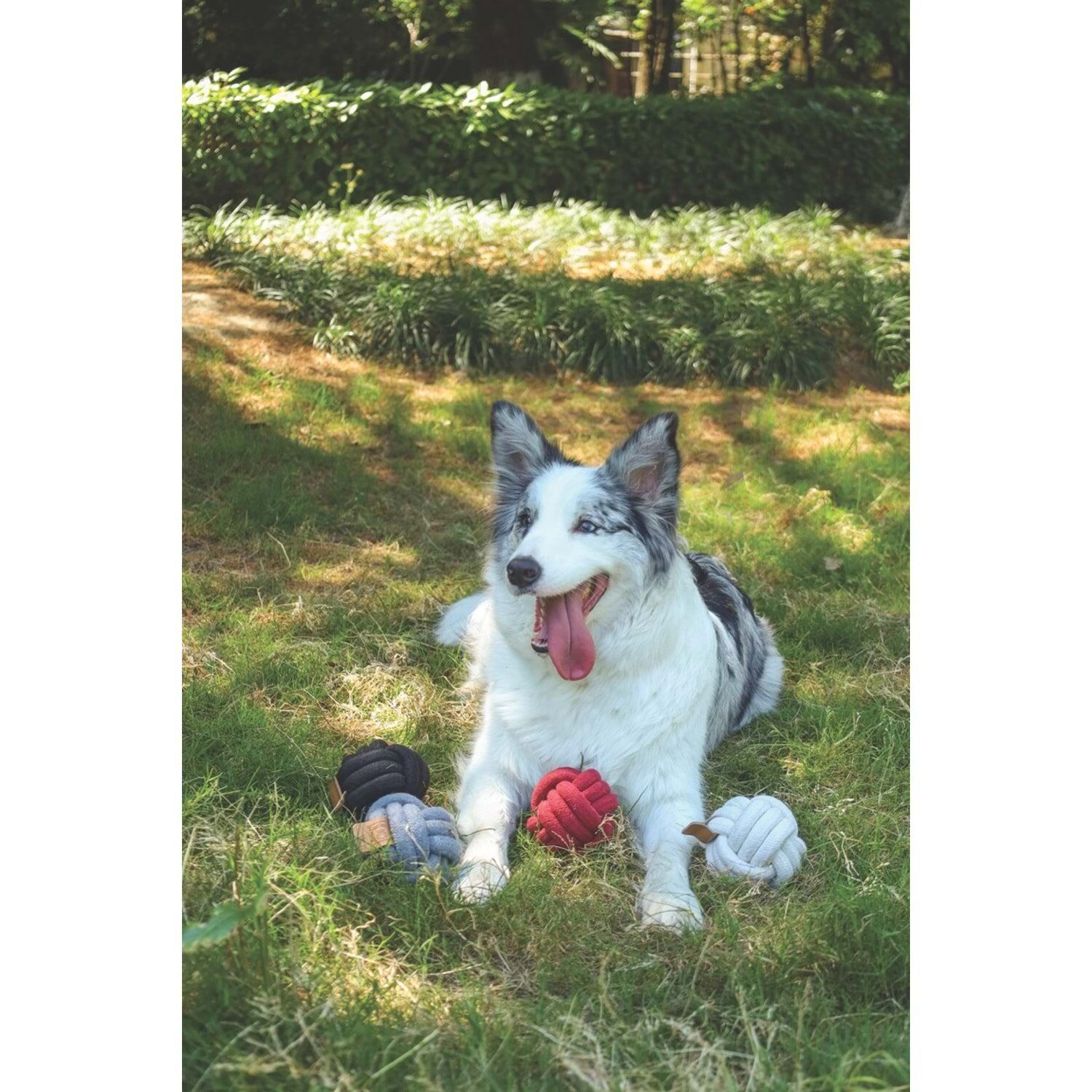 M-PETS COTO RED BALL 9,5CM ÖRGÜ TOP OYUNCAK