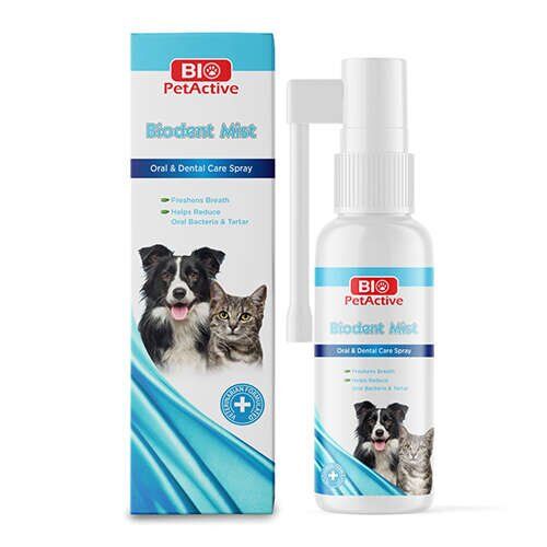 BİO PETACTİVE BIODENT MIST 50ML KEDİ KÖPEK AĞIZ BAKIM SPREYİ
