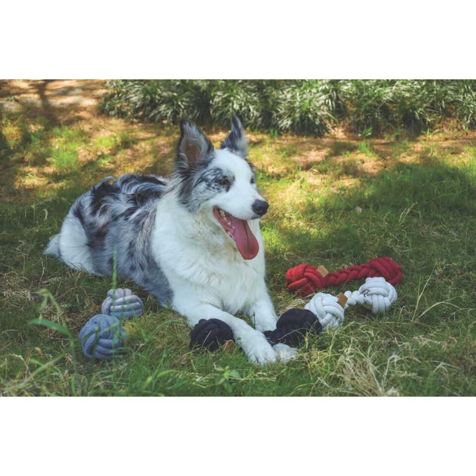 M-PETS COTO BLACK DUO BALL 28CM ÖRGÜ OYUNCAK