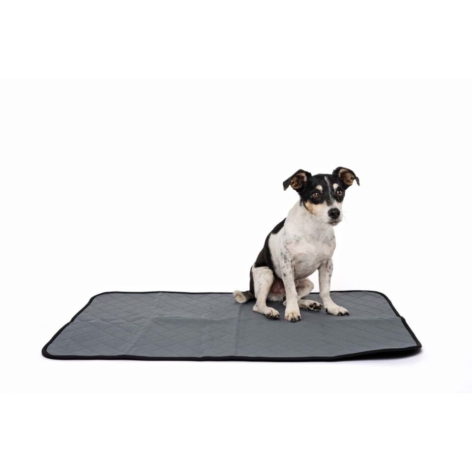 M-PETS YIKANABİLİR ÇİŞ EĞİTİM PEDİ (L)