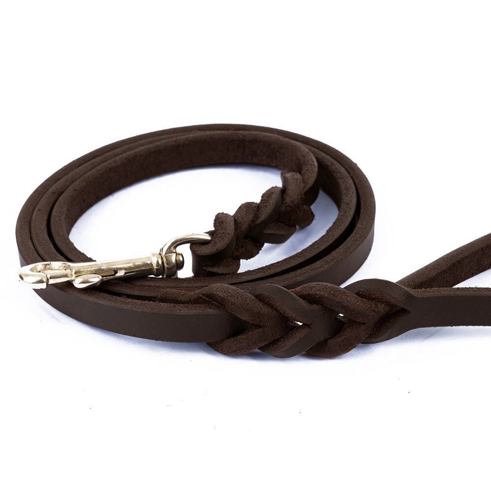 DOGGİE YAĞLI DERİLİ 4 ÖRGÜLÜ EĞİTİM GEZDİRME YAĞLIKAHVE 1,1X150CM