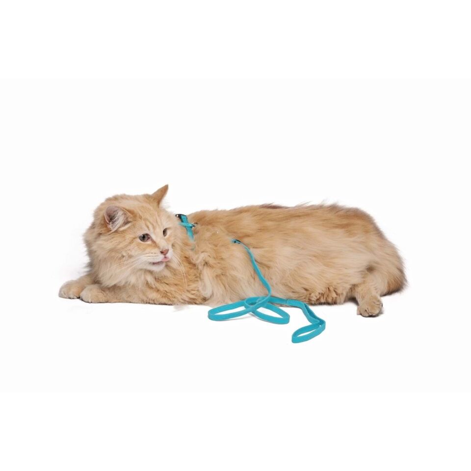 M-PETS CATOGO KEDİ GÖĞÜS TASMASI+GEZDİRME SETİ BLUE