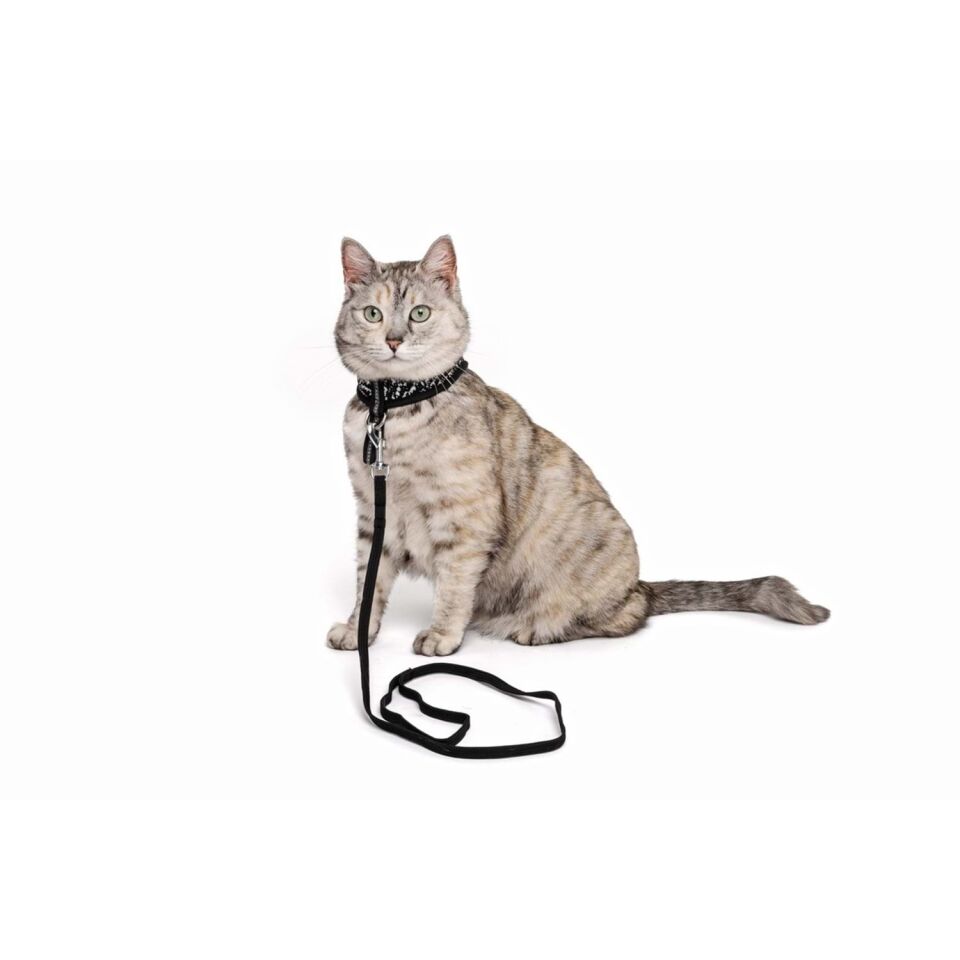 M-PETS LETSGO KEDİ GÖĞÜS TASMASI+GEZDİRME BLACK/WHİTE