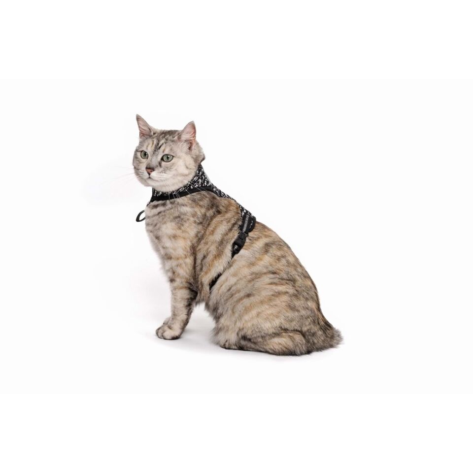 M-PETS LETSGO KEDİ GÖĞÜS TASMASI+GEZDİRME BLACK/WHİTE