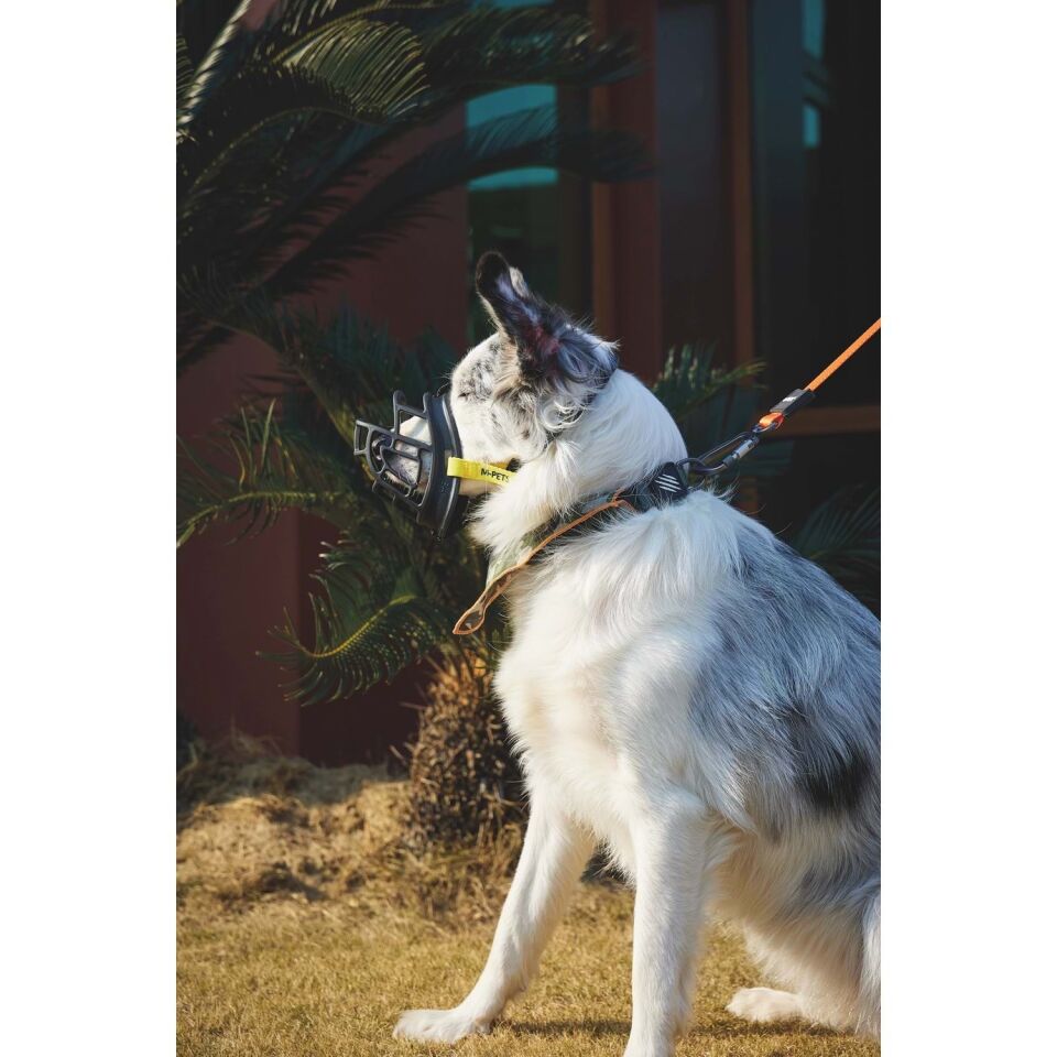 M-PETS BARK GUARD AĞIZLIK (L) BLACK/YELLOW