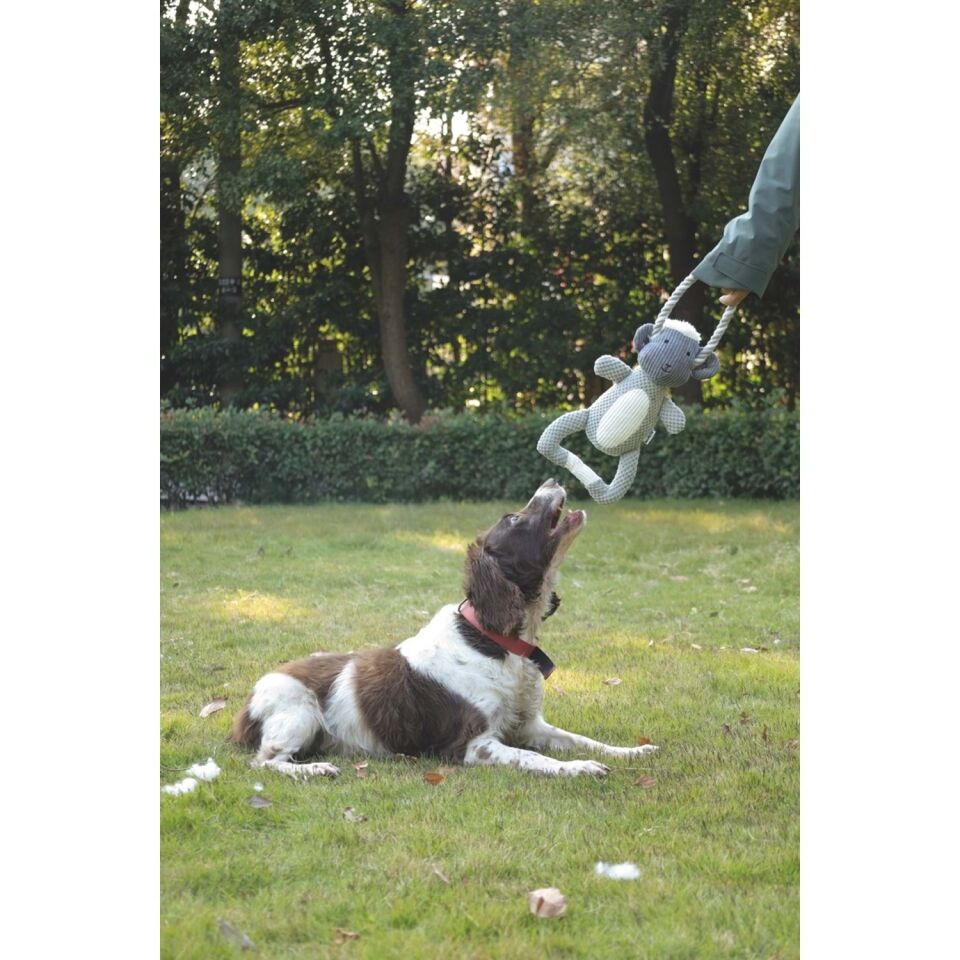 M-PETS ECO CHEWTOPIA SHEEP KÖPEK OYUNCAĞI