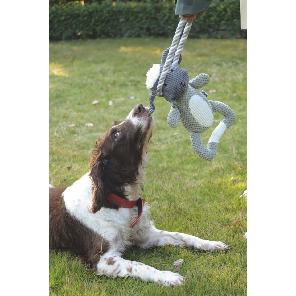 M-PETS ECO CHEWTOPIA SHEEP KÖPEK OYUNCAĞI