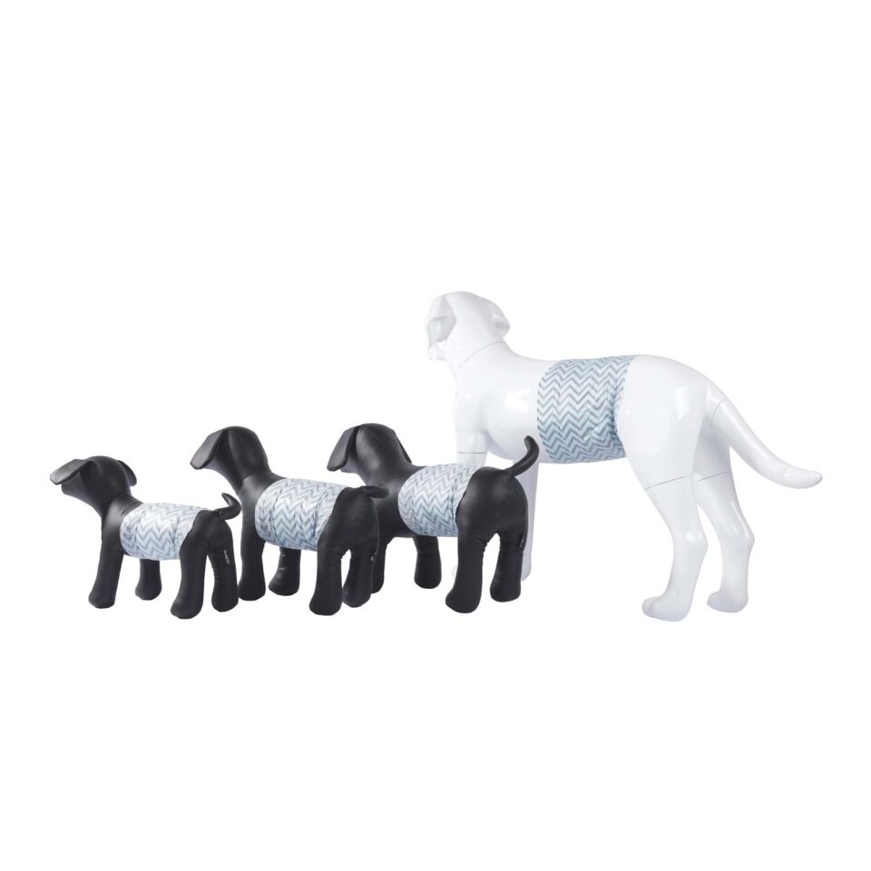 M-PETS CARBONLU DIAPERS ERKEK KÖPEKLER İÇİN KÜLOT (XXL) 18Lİ