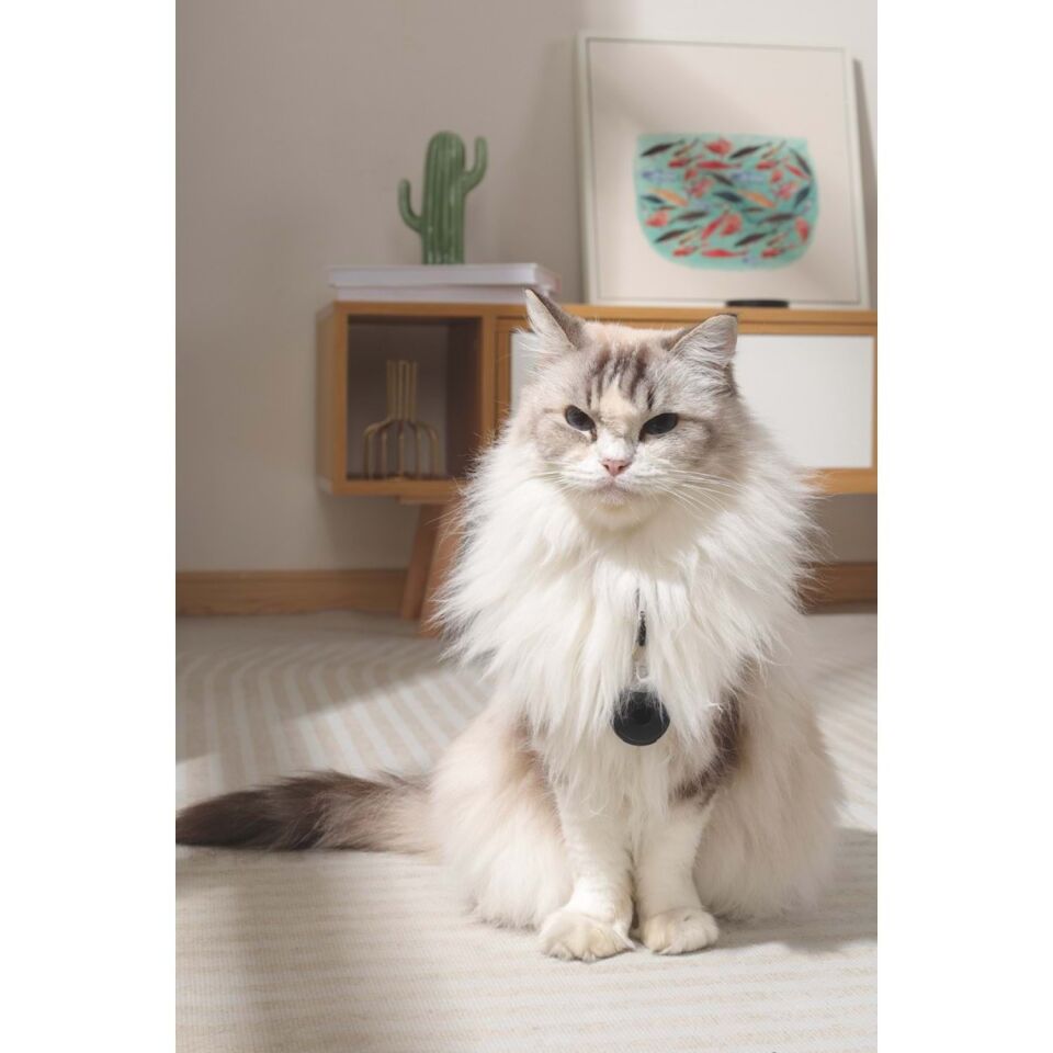 M-PETS FEARLESS ULTRASONIC PİRE ve KENE KOVUCU BLACK