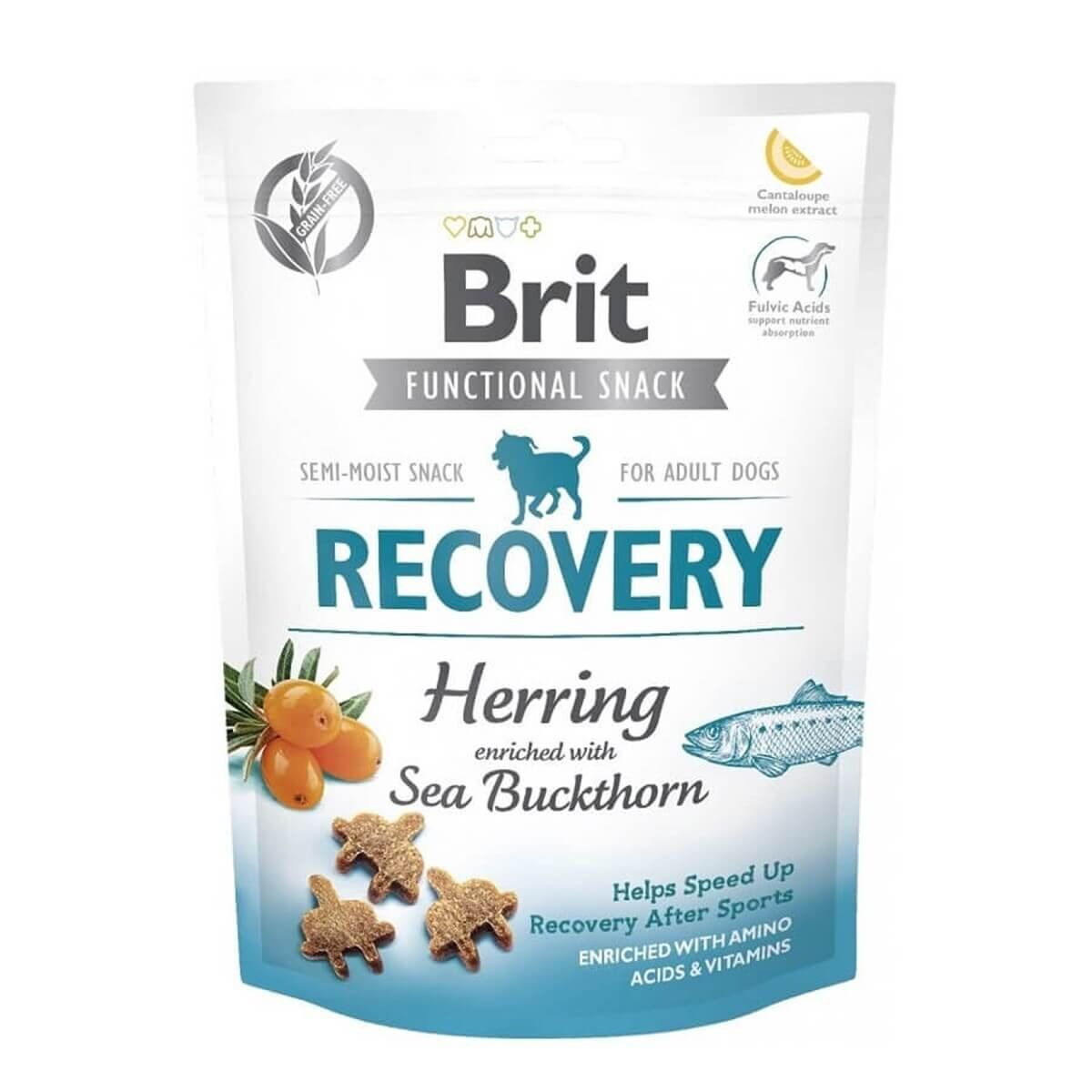 Brit Care Recovery Ringa Balıklı Köpek Ödül Maması