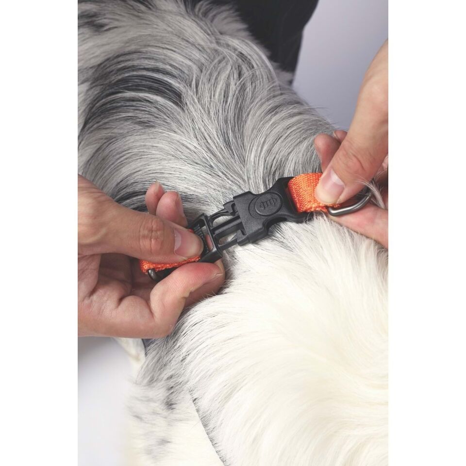 M-PETS WILD JUNGLE HARNESS (L)