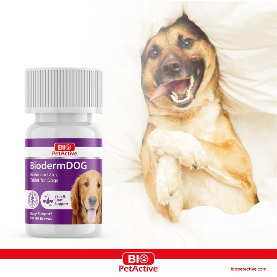 BIO PETACTİVE BİODERMDOG 75 TABS