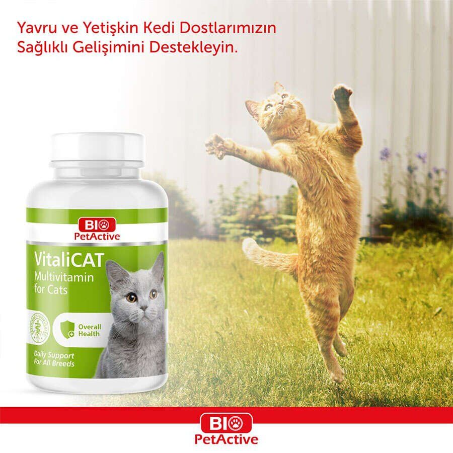 BİOPET ACTİVE VITALICAT 150 TABS (VİTAMİN TABLET)