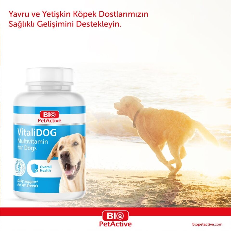 BİOPET ACTİVE VITALIDOG 150 TABS (VİTAMİN TABLET)