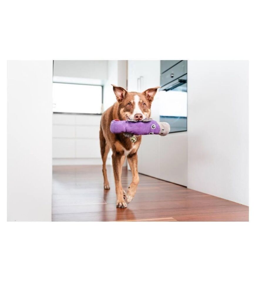 Reddingo Dayanıklı Yumuşak Köpek Oyuncağı - Ornitorenk