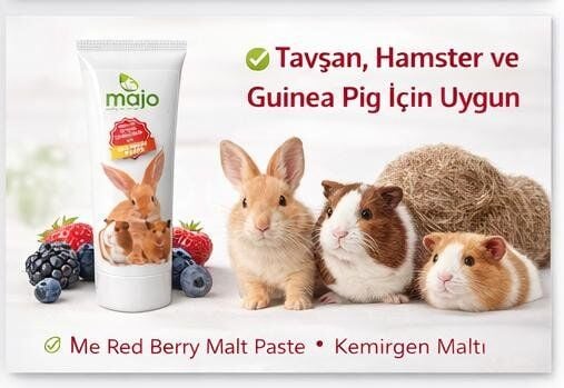 MAJO TAVŞAN MALT ORMAN MEYVELİ 100 GR