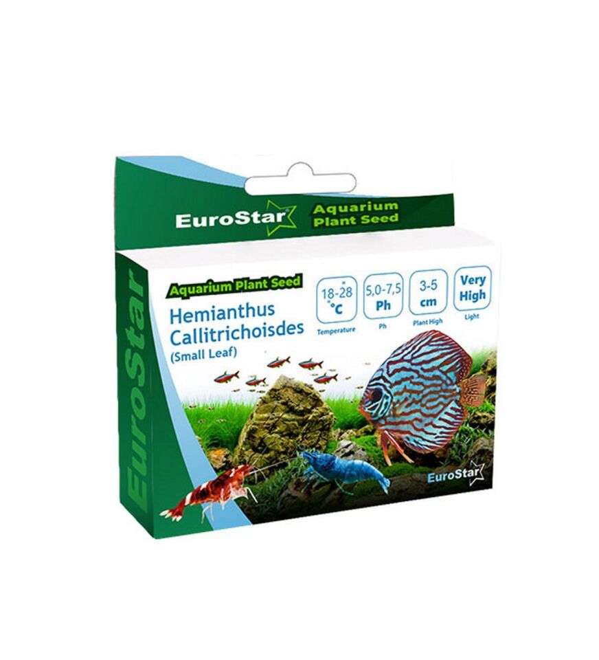 EuroStar Bitki Tohum Medium Leaf Base Blant