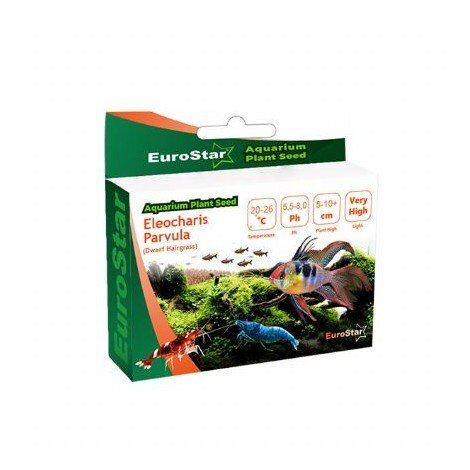 EuroStar Eleocharis Parvula Dwarf Hairgrass