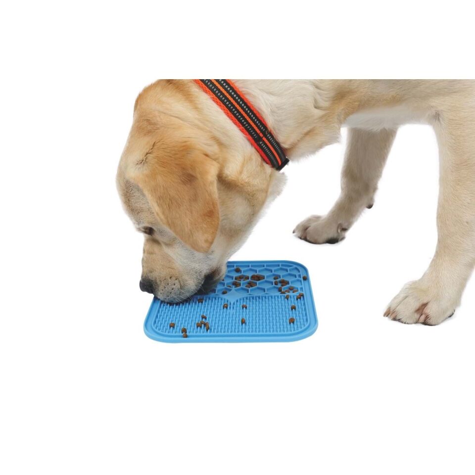 M-PETS LECCA SIVI ÖDÜL MATI MAVİ (L)