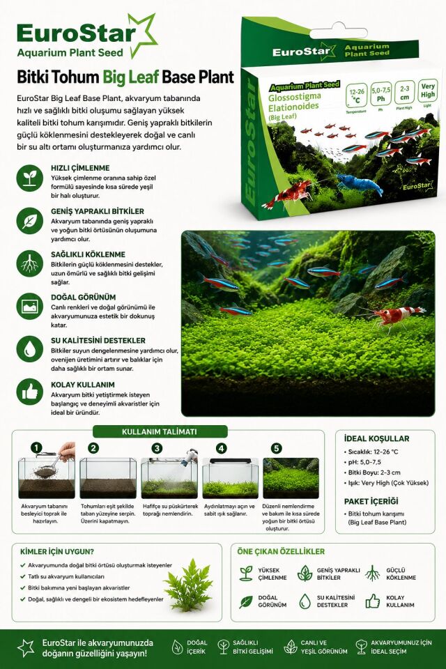 EuroStar Bitki Tohum Big Leaf Base Plant