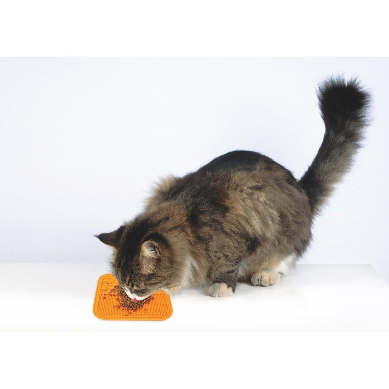 M-PETS LECCA SIVI ÖDÜL MATI TURUNCU (L)