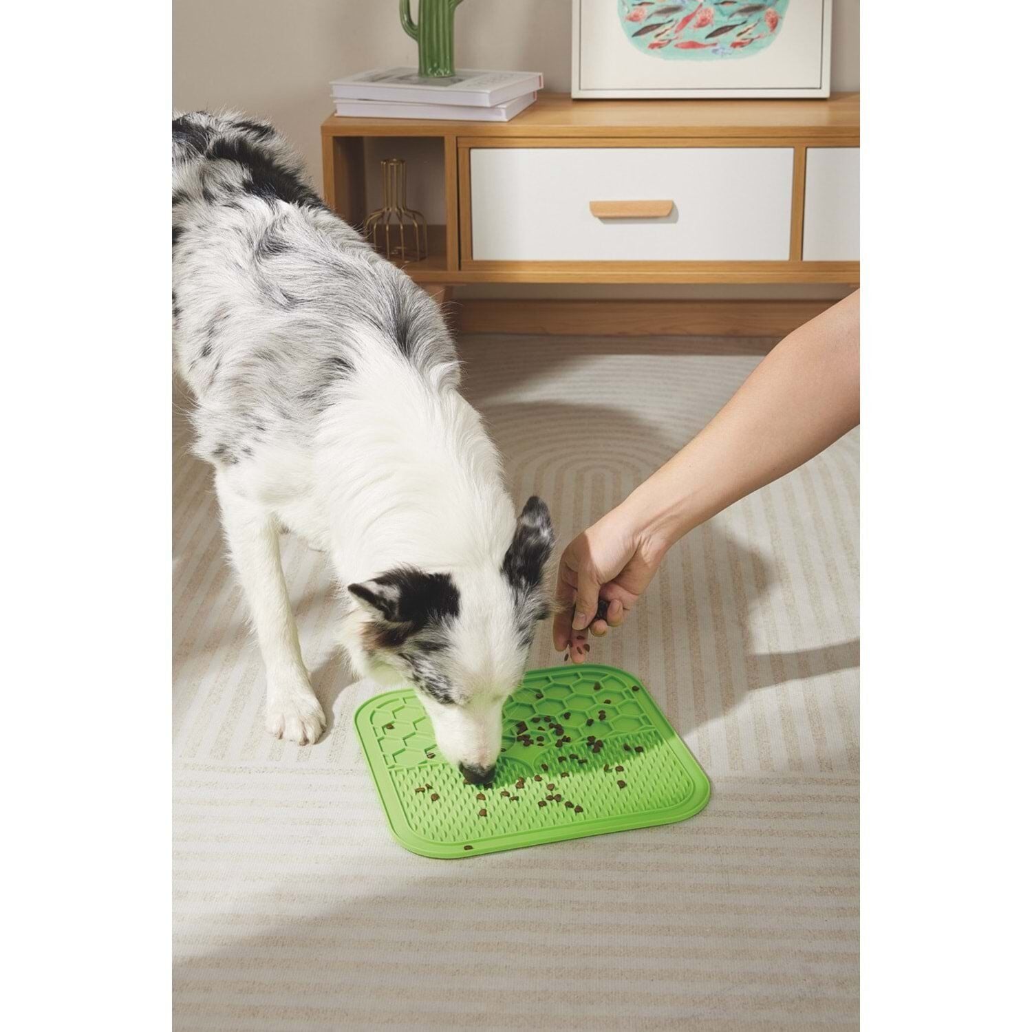 M-PETS LECCA SIVI ÖDÜL MATI YEŞİL (L)