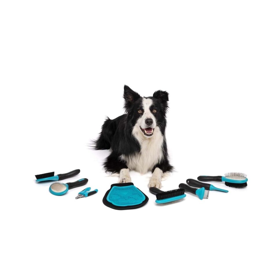 M-PETS HAIRDO KÖPEKLER İÇİN İNCE TELLİ OVAL FIRÇA (L)