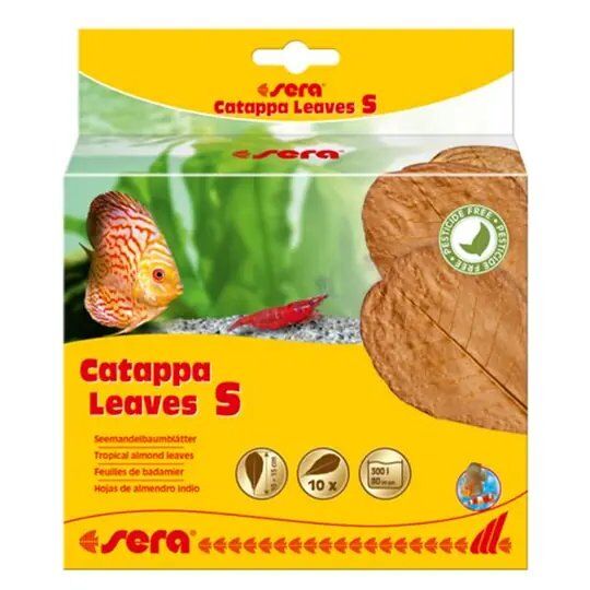 Sera Catappa Yaprağı S 14 Cm (10 Adet)