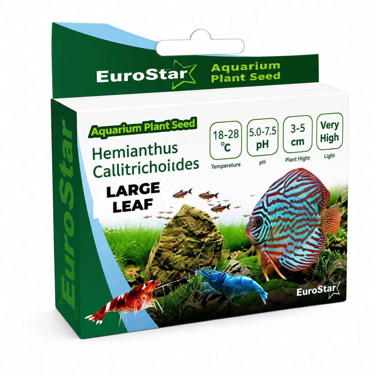 EuroStar bitki Tohum Large