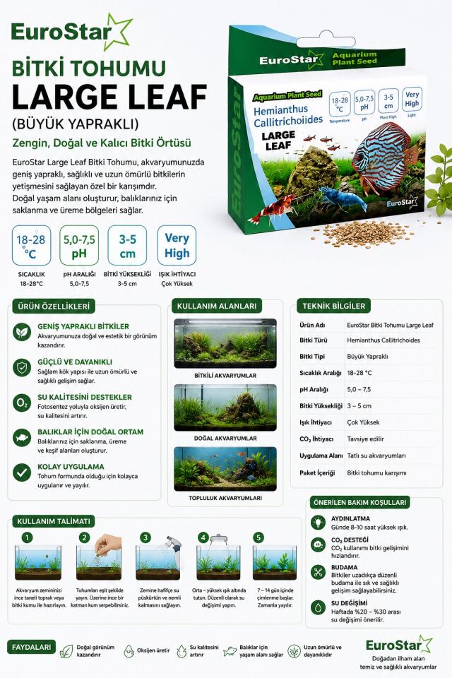 EuroStar bitki Tohum Large