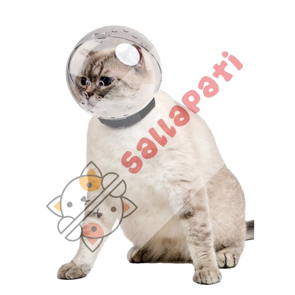 Kedi Bakım Küresi ( Yalama Ve Isırma Için Muhteşem Çözüm )