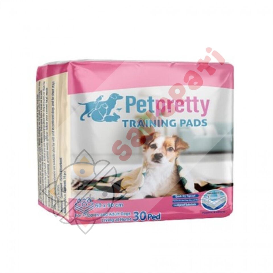 PET PRETTY ÇİŞ PEDİ NATURAL 60*90 30 LU