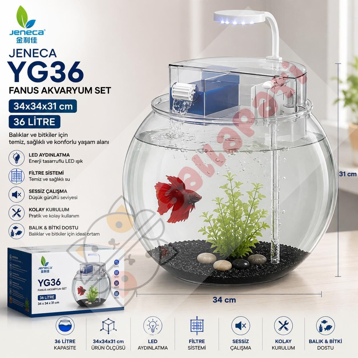 JENECA YG-36 FANUS AKVARYUM SETİ 34,5 x 34,5 x 31 CM (36 LT)